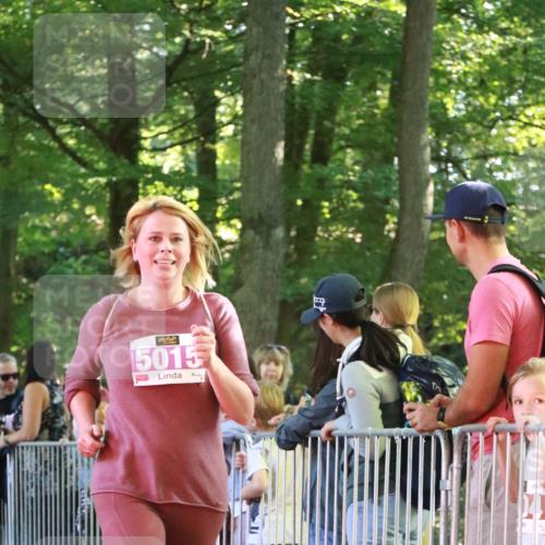 22.09.2024 - 32. Volkslauf durch das schöne Alstertal H.Heesch http://msf.ph/oto/7110519 22.09.2024 10:46:42 Ziel 5006, 5014, 5015 meine-sportfotos.de