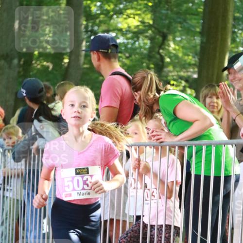 22.09.2024 - 32. Volkslauf durch das schöne Alstertal H.Heesch http://msf.ph/oto/7110557 22.09.2024 10:46:51 Ziel 5023, 5032 meine-sportfotos.de