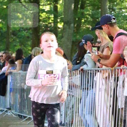 22.09.2024 - 32. Volkslauf durch das schöne Alstertal H.Heesch http://msf.ph/oto/7110586 22.09.2024 10:47:06 Ziel 5001, 5002, 5042, 5966 meine-sportfotos.de