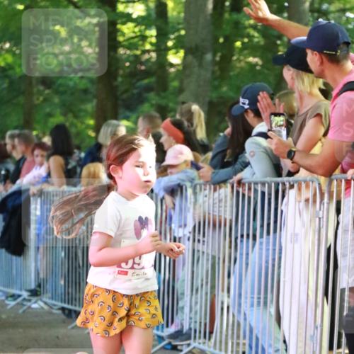 22.09.2024 - 32. Volkslauf durch das schöne Alstertal H.Heesch http://msf.ph/oto/7110599 22.09.2024 10:47:10 Ziel 5001, 5002, 5042, 5966 meine-sportfotos.de