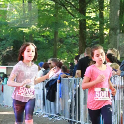 22.09.2024 - 32. Volkslauf durch das schöne Alstertal H.Heesch http://msf.ph/oto/7110617 22.09.2024 10:47:12 Ziel 5001, 5002, 5042, 5966 meine-sportfotos.de