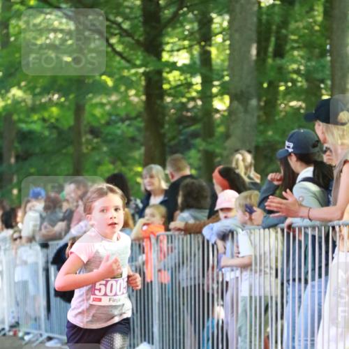 22.09.2024 - 32. Volkslauf durch das schöne Alstertal H.Heesch http://msf.ph/oto/7110639 22.09.2024 10:47:19 Ziel 5005, 5041 meine-sportfotos.de