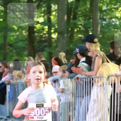 22.09.2024 - 32. Volkslauf durch das schöne Alstertal H.Heesch http://msf.ph/oto/7110648 22.09.2024 10:47:20 Ziel 5005, 5041 meine-sportfotos.de