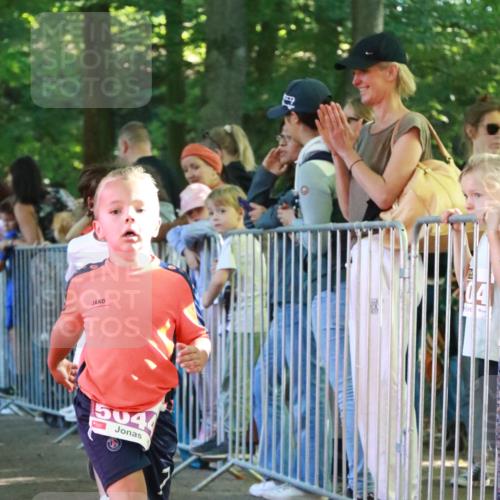 22.09.2024 - 32. Volkslauf durch das schöne Alstertal H.Heesch http://msf.ph/oto/7110691 22.09.2024 10:47:27 Ziel 5011, 5041, 5044, 5045 meine-sportfotos.de