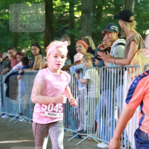22.09.2024 - 32. Volkslauf durch das schöne Alstertal H.Heesch http://msf.ph/oto/7110711 22.09.2024 10:47:28 Ziel 5011, 5041, 5044, 5045 meine-sportfotos.de