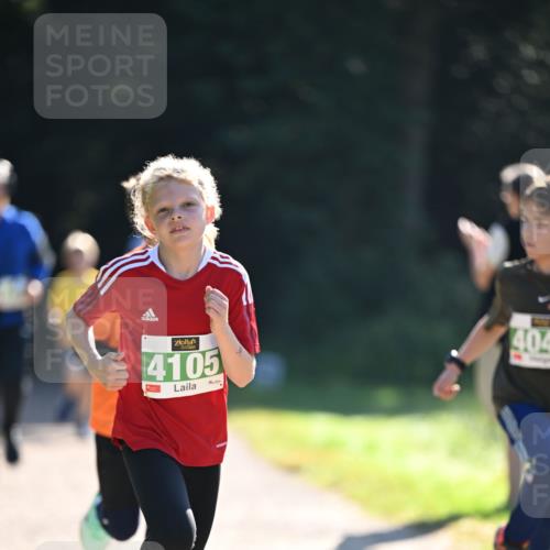 22.09.2024 - 32. Volkslauf durch das schöne Alstertal Dr. Thomas Lammeyer http://msf.ph/oto/7110772 22.09.2024 10:51:30 Laufen 4105, 404 meine-sportfotos.de