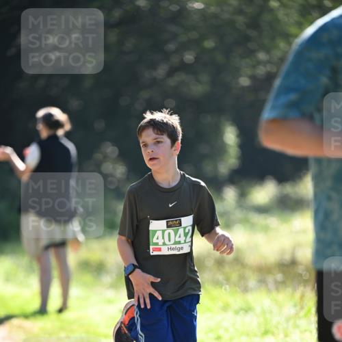 22.09.2024 - 32. Volkslauf durch das schöne Alstertal Dr. Thomas Lammeyer http://msf.ph/oto/7110774 22.09.2024 10:51:31 Laufen 4042 meine-sportfotos.de