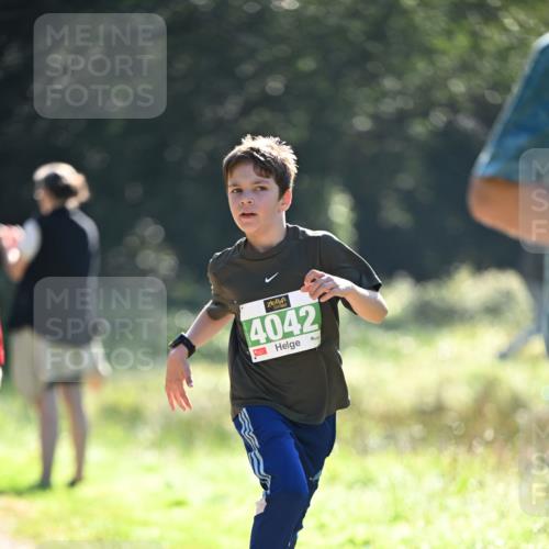 22.09.2024 - 32. Volkslauf durch das schöne Alstertal Dr. Thomas Lammeyer http://msf.ph/oto/7110778 22.09.2024 10:51:31 Laufen 4042 meine-sportfotos.de
