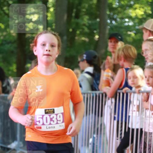 22.09.2024 - 32. Volkslauf durch das schöne Alstertal H.Heesch http://msf.ph/oto/7110798 22.09.2024 10:48:25 Ziel 5008, 5009, 5039, 5977 meine-sportfotos.de