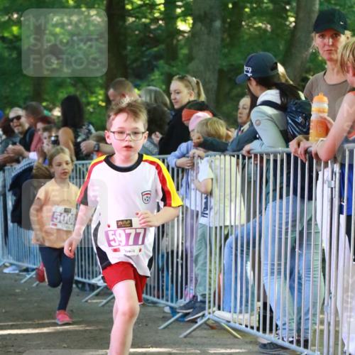 22.09.2024 - 32. Volkslauf durch das schöne Alstertal H.Heesch http://msf.ph/oto/7110809 22.09.2024 10:48:27 Ziel 5008, 5009, 5039, 5977 meine-sportfotos.de