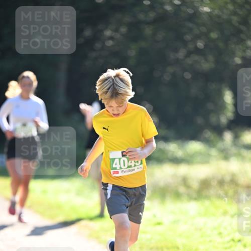 22.09.2024 - 32. Volkslauf durch das schöne Alstertal Dr. Thomas Lammeyer http://msf.ph/oto/7110825 22.09.2024 10:51:36 Laufen 404 meine-sportfotos.de