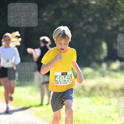 22.09.2024 - 32. Volkslauf durch das schöne Alstertal Dr. Thomas Lammeyer http://msf.ph/oto/7110830 22.09.2024 10:51:37 Laufen 4045 meine-sportfotos.de