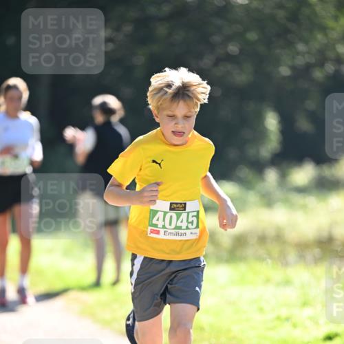 22.09.2024 - 32. Volkslauf durch das schöne Alstertal Dr. Thomas Lammeyer http://msf.ph/oto/7110831 22.09.2024 10:51:37 Laufen 4045 meine-sportfotos.de