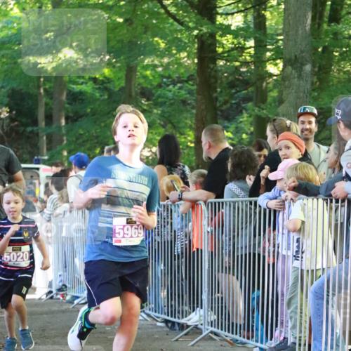 22.09.2024 - 32. Volkslauf durch das schöne Alstertal H.Heesch http://msf.ph/oto/7110852 22.09.2024 10:48:33 Ziel 5008, 5009, 5020, 5028, 5036, 5969, 5971, 5977 meine-sportfotos.de