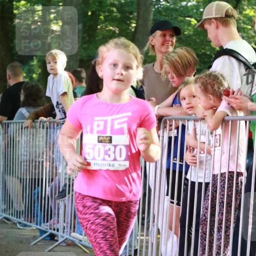 22.09.2024 - 32. Volkslauf durch das schöne Alstertal H.Heesch http://msf.ph/oto/7111078 22.09.2024 10:49:18 Ziel 5030, 5031 meine-sportfotos.de