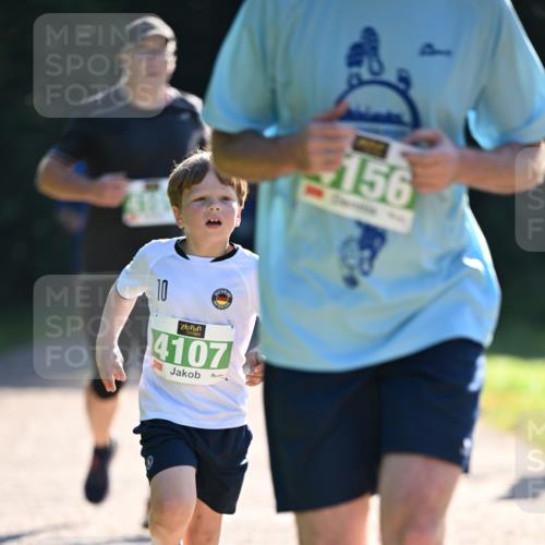22.09.2024 - 32. Volkslauf durch das schöne Alstertal Dr. Thomas Lammeyer http://msf.ph/oto/7111137 22.09.2024 10:52:26 Laufen 10, 4107, 156 meine-sportfotos.de
