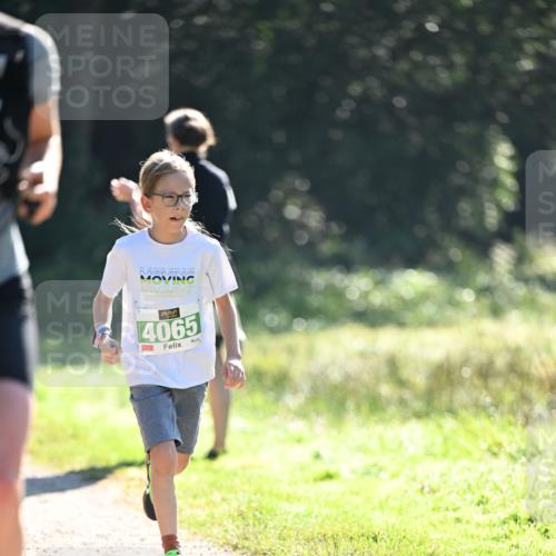 22.09.2024 - 32. Volkslauf durch das schöne Alstertal Dr. Thomas Lammeyer http://msf.ph/oto/7111301 22.09.2024 10:52:47 Laufen 4065 meine-sportfotos.de