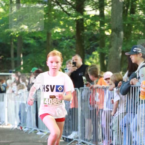 22.09.2024 - 32. Volkslauf durch das schöne Alstertal H.Heesch http://msf.ph/oto/7111408 22.09.2024 10:52:53 Ziel 4001, 4086, 4153 meine-sportfotos.de