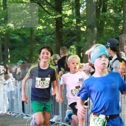 22.09.2024 - 32. Volkslauf durch das schöne Alstertal H.Heesch http://msf.ph/oto/7111439 22.09.2024 10:53:00 Ziel 4035, 4036, 4038, 4086, 4170, 4966 meine-sportfotos.de