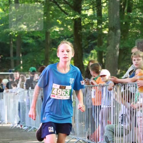 22.09.2024 - 32. Volkslauf durch das schöne Alstertal H.Heesch http://msf.ph/oto/7111503 22.09.2024 10:53:23 Ziel 4963 meine-sportfotos.de