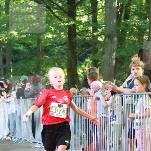 22.09.2024 - 32. Volkslauf durch das schöne Alstertal H.Heesch http://msf.ph/oto/7111515 22.09.2024 10:53:30 Ziel 4023, 4079 meine-sportfotos.de