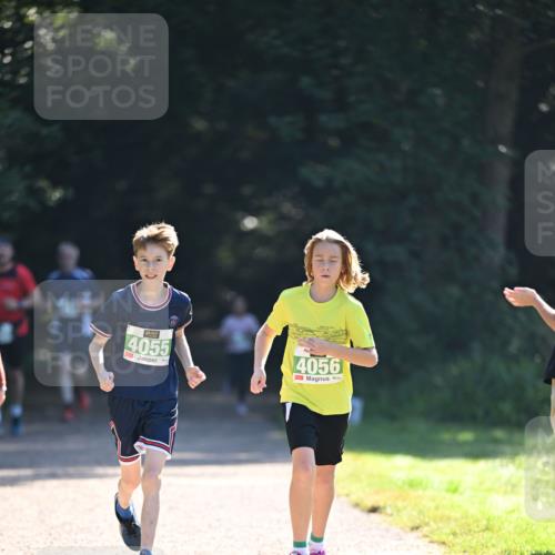 22.09.2024 - 32. Volkslauf durch das schöne Alstertal Dr. Thomas Lammeyer http://msf.ph/oto/7111625 22.09.2024 10:53:31 Laufen 4055, 4056 meine-sportfotos.de