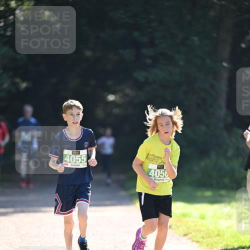22.09.2024 - 32. Volkslauf durch das schöne Alstertal Dr. Thomas Lammeyer http://msf.ph/oto/7111636 22.09.2024 10:53:31 Laufen 4055, 4056 meine-sportfotos.de