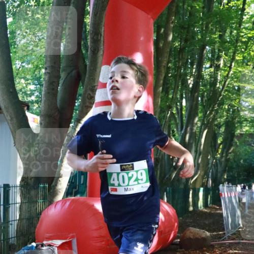 22.09.2024 - 32. Volkslauf durch das schöne Alstertal H.Heesch http://msf.ph/oto/7111696 22.09.2024 10:54:15 Ziel 4029 meine-sportfotos.de