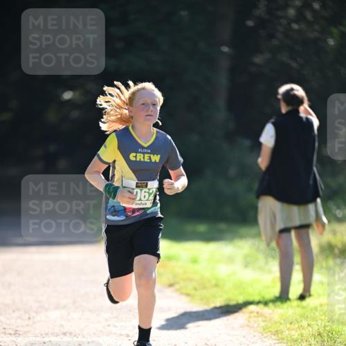 22.09.2024 - 32. Volkslauf durch das schöne Alstertal Dr. Thomas Lammeyer http://msf.ph/oto/7111782 22.09.2024 10:53:49 Laufen 062 meine-sportfotos.de