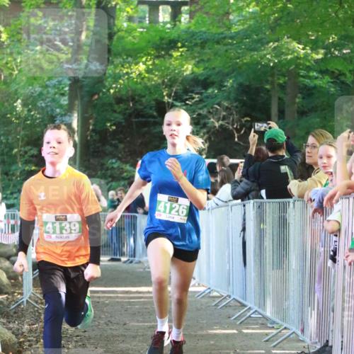 22.09.2024 - 32. Volkslauf durch das schöne Alstertal H.Heesch http://msf.ph/oto/7111874 22.09.2024 10:55:21 Ziel 4126, 4139, 4951 meine-sportfotos.de