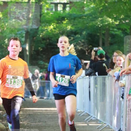 22.09.2024 - 32. Volkslauf durch das schöne Alstertal H.Heesch http://msf.ph/oto/7111881 22.09.2024 10:55:21 Ziel 4126, 4139, 4951 meine-sportfotos.de