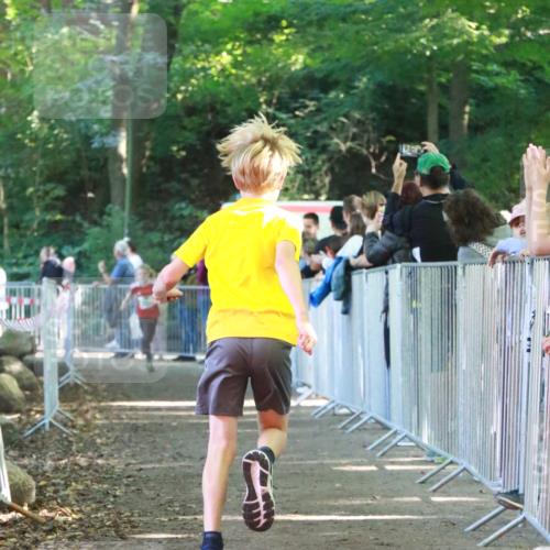 22.09.2024 - 32. Volkslauf durch das schöne Alstertal H.Heesch http://msf.ph/oto/7111888 22.09.2024 10:55:27 Ziel 4045, 4105, 4126, 4139 meine-sportfotos.de