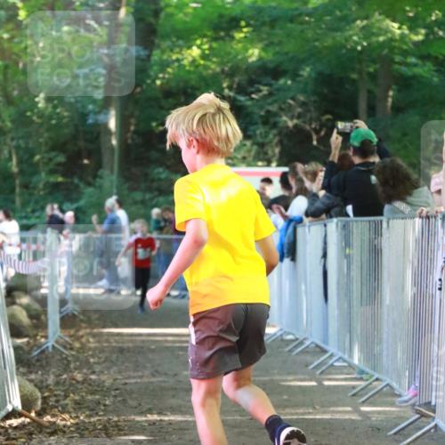 22.09.2024 - 32. Volkslauf durch das schöne Alstertal H.Heesch http://msf.ph/oto/7111900 22.09.2024 10:55:27 Ziel 4045, 4105, 4126, 4139 meine-sportfotos.de