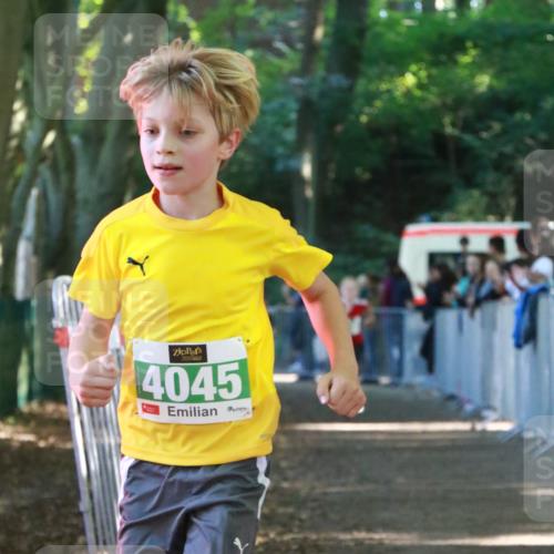 22.09.2024 - 32. Volkslauf durch das schöne Alstertal H.Heesch http://msf.ph/oto/7111911 22.09.2024 10:55:29 Ziel 4045, 4105 meine-sportfotos.de