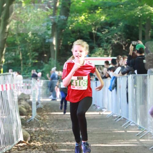 22.09.2024 - 32. Volkslauf durch das schöne Alstertal H.Heesch http://msf.ph/oto/7111917 22.09.2024 10:55:32 Ziel 4042, 4045, 4105 meine-sportfotos.de