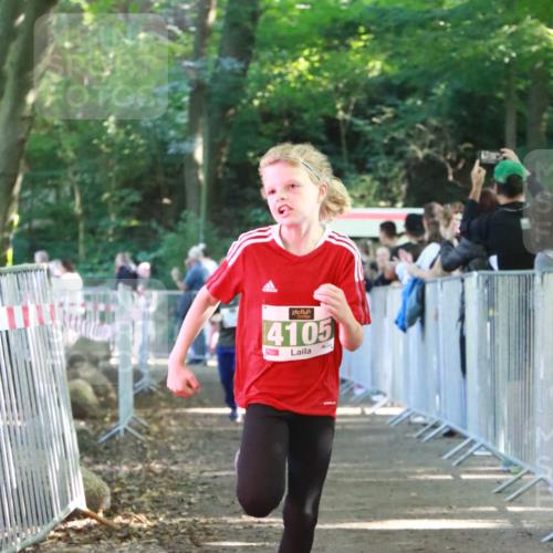 22.09.2024 - 32. Volkslauf durch das schöne Alstertal H.Heesch http://msf.ph/oto/7111927 22.09.2024 10:55:32 Ziel 4042, 4045, 4105 meine-sportfotos.de