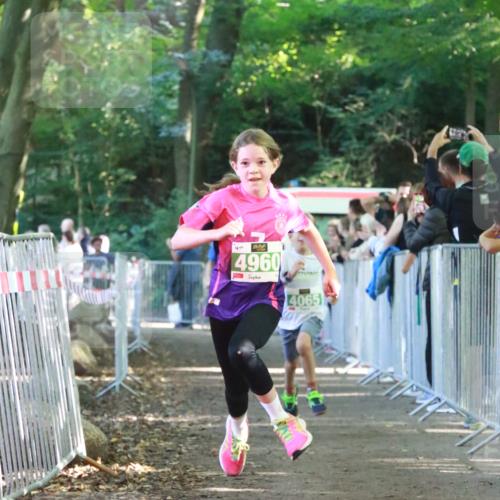 22.09.2024 - 32. Volkslauf durch das schöne Alstertal H.Heesch http://msf.ph/oto/7112177 22.09.2024 10:56:30 Ziel 4064, 4065, 4162, 4960 meine-sportfotos.de