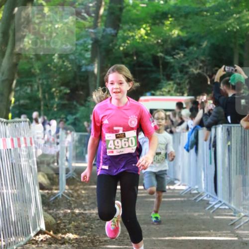 22.09.2024 - 32. Volkslauf durch das schöne Alstertal H.Heesch http://msf.ph/oto/7112190 22.09.2024 10:56:30 Ziel 4064, 4065, 4162, 4960 meine-sportfotos.de