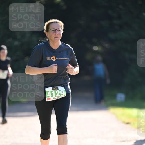 22.09.2024 - 32. Volkslauf durch das schöne Alstertal Dr. Thomas Lammeyer http://msf.ph/oto/7112243 22.09.2024 10:55:02 Laufen 4129 meine-sportfotos.de
