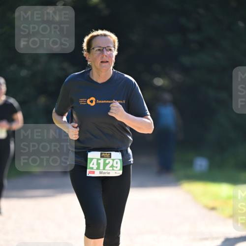 22.09.2024 - 32. Volkslauf durch das schöne Alstertal Dr. Thomas Lammeyer http://msf.ph/oto/7112246 22.09.2024 10:55:03 Laufen 4129 meine-sportfotos.de