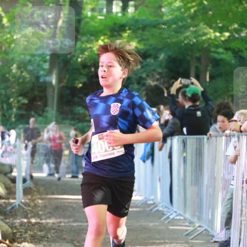 22.09.2024 - 32. Volkslauf durch das schöne Alstertal H.Heesch http://msf.ph/oto/7112296 22.09.2024 10:56:37 Ziel 4008, 4064, 4065, 4960 meine-sportfotos.de