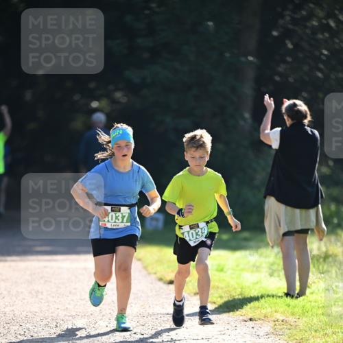 22.09.2024 - 32. Volkslauf durch das schöne Alstertal Dr. Thomas Lammeyer http://msf.ph/oto/7112405 22.09.2024 10:55:41 Laufen 037, 4039 meine-sportfotos.de