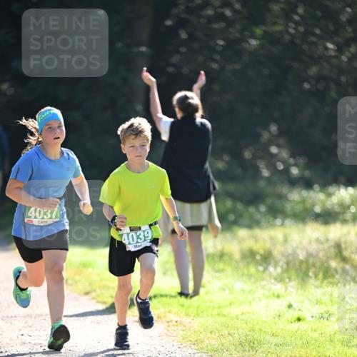 22.09.2024 - 32. Volkslauf durch das schöne Alstertal Dr. Thomas Lammeyer http://msf.ph/oto/7112413 22.09.2024 10:55:42 Laufen 4037, 4039 meine-sportfotos.de