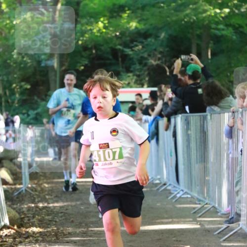 22.09.2024 - 32. Volkslauf durch das schöne Alstertal H.Heesch http://msf.ph/oto/7112418 22.09.2024 10:56:53 Ziel 4107, 4127, 4156 meine-sportfotos.de