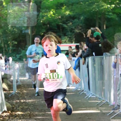 22.09.2024 - 32. Volkslauf durch das schöne Alstertal H.Heesch http://msf.ph/oto/7112425 22.09.2024 10:56:53 Ziel 4107, 4127, 4156 meine-sportfotos.de