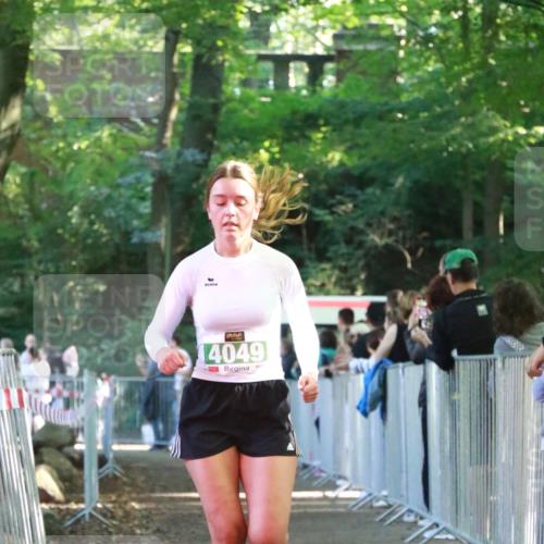 22.09.2024 - 32. Volkslauf durch das schöne Alstertal H.Heesch http://msf.ph/oto/7112575 22.09.2024 10:57:03 Ziel 4049, 4101 meine-sportfotos.de