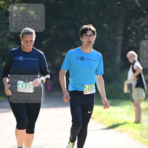 22.09.2024 - 32. Volkslauf durch das schöne Alstertal Dr. Thomas Lammeyer http://msf.ph/oto/7112737 22.09.2024 10:56:22 Laufen 4135, 134, 0000 meine-sportfotos.de