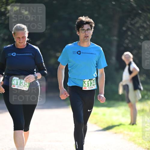 22.09.2024 - 32. Volkslauf durch das schöne Alstertal Dr. Thomas Lammeyer http://msf.ph/oto/7112740 22.09.2024 10:56:22 Laufen 4135, 4134 meine-sportfotos.de