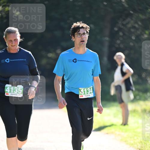 22.09.2024 - 32. Volkslauf durch das schöne Alstertal Dr. Thomas Lammeyer http://msf.ph/oto/7112742 22.09.2024 10:56:22 Laufen 4135, 134 meine-sportfotos.de