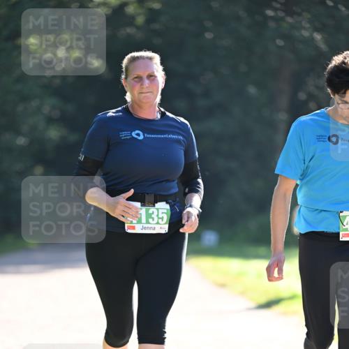 22.09.2024 - 32. Volkslauf durch das schöne Alstertal Dr. Thomas Lammeyer http://msf.ph/oto/7112757 22.09.2024 10:56:23 Laufen 135 meine-sportfotos.de